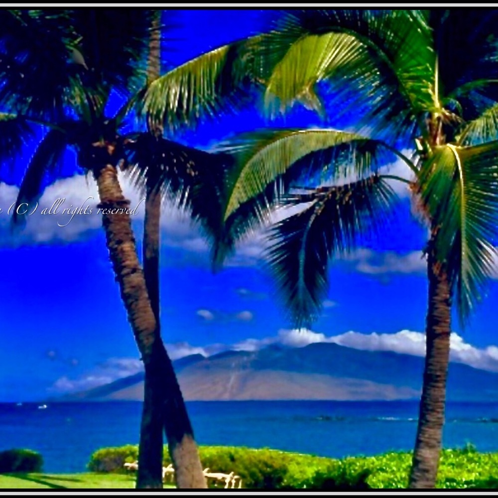 Aloha Enjoy Shopping!